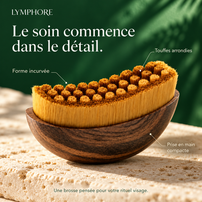 Brosse lymphatique visage